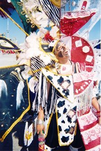 Photo of Michelle in costume at the 2006 Carnival parade on Lakeshore Boulevard