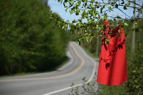 A red dress hangs from a tree branch surrounded by green leaves, symbolizing the lives of Missing and Murdered Indigenous Women, Girls, and 2SLGBTQI+ people.